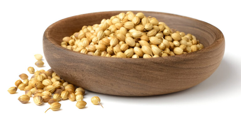 steptodown.com232045